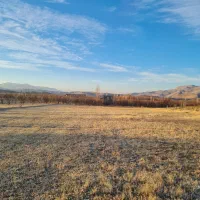 فروش یامعاوضه