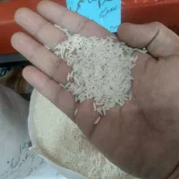 برنج هاشمی فوق اعلا|خوردنی و آشامیدنی|تهران, تهرانسر شمالی|دیوار