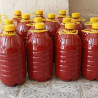 رب خانگی