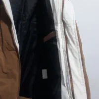 کاپشن|لباس|قم, شهرک امام حسن|دیوار