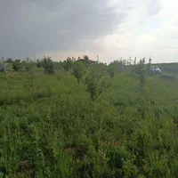فروش-باغ