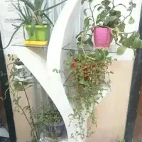 جای گل