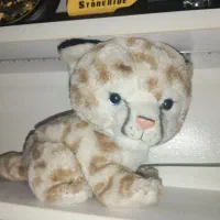 عروسک پولیشی|اسباب‌‌بازی|زنجان, |دیوار