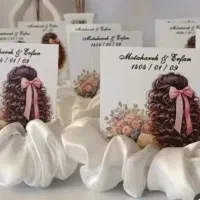 گیفت  اسکرانچی