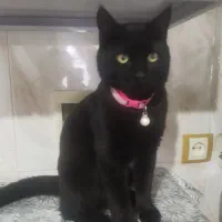 درصورت مشاهده اطلاع بدید