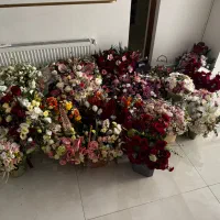 گل و گیاه
