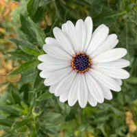 آگهی همکاری