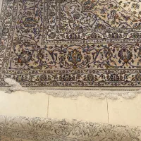 فرش ۱۲ متری کاشان افشار رنگ کرم|فرش|تهران, میدان ولیعصر|دیوار