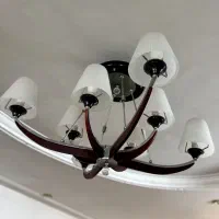 ۲ عدد لوستر ۸شاخه کاملا سالم ونو مناسب پذیرایی