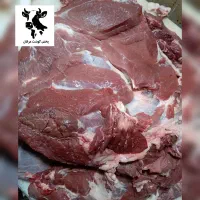 پخش گوشت گرم گوساله تازه