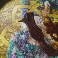 فال قهوه و تاروت