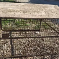 فروش قفس بزرگ|لوازم جانبی حیوانات|کازرون, |دیوار