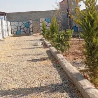 باغچه ۳۰۵ متری چسب بافت|فروش زمین و ملک کلنگی|اسلام‌شهر, شهرک احمدیه|دیوار