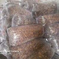 خرما انواع صنعتی ش