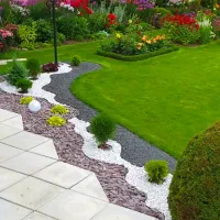 نهالستان باغبانی رسیدگی به گیاه آپارتمانی  گل کاشت