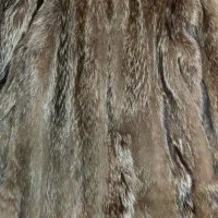 کت پوست مردانه لاکچری ایتالیایی|لباس|تهران, امانیه|دیوار