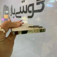 آیفون ۱۳پرومکس استثنایی|موبایل|اصفهان, جلفا|دیوار