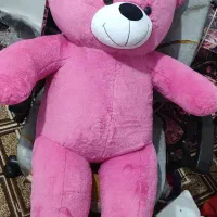 فروش خرس شاسخین