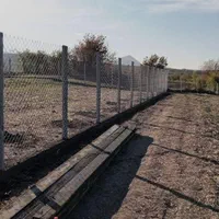 فنس شموشک|خدمات باغبانی و درختکاری|گرگان, |دیوار