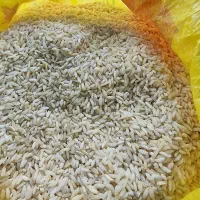 بازار جمعه شوش برنج یک دویست شرط پخت
