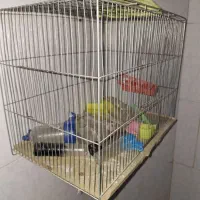 قفسه پرنده|لوازم جانبی حیوانات|اندیشه, اندیشه فاز ۱|دیوار