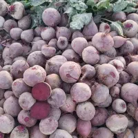 فروش لبوی قرمز|عمده‌فروشی|ترکمانچای, |دیوار