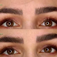 نیازمند مدل برای فیبروز ابرو و بن مژه|خدمات آرایشگری و زیبایی|شیراز, پارک آزادی|دیوار