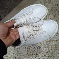 کفش مردانه|کیف، کفش، کمربند|هشتگرد, شهرک صنعتی هشتگرد|دیوار