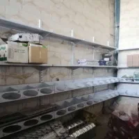 باسلام  فروش تعدادی قفسه مغازه صفحه ای وخشکباری