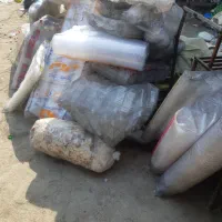 ظروف یک بارمصرف