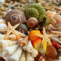 شرت فانتزی مردونه