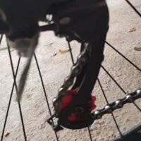 دوچرخه ۲۶ویوا همه چیز نو و شیمانو هستند|دوچرخه، اسکیت، اسکوتر|الشتر, |دیوار