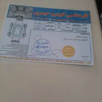 تیبا صندوق دار ۲ گانه تبدیلی|خودرو سواری و وانت|کرج, گلشهر|دیوار