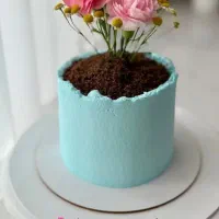 مینی کیک خونگی