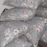 بالش