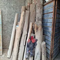 چوب چنارو کبوده