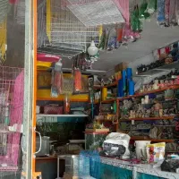 فروش سه دهنه مغازه|فروش مغازه و غرفه|داران, |دیوار