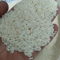 برنج علی کاظمی گیلان