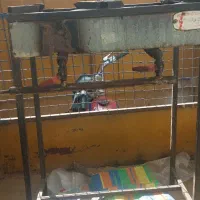 شعله پایه بزرگ