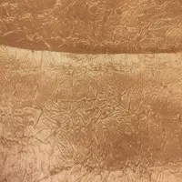پرده پشت دری