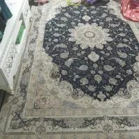 قالی|فرش|اهواز, شهرک دانشگاه|دیوار