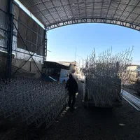 تولید نرده حفاظ شاخ گوزنی امنیت سازان قم|خدمات پیشه و مهارت|قم, نخودی|دیوار