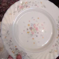 فروش بشقاب گل ویکتوری خورشتی