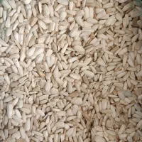 تخمه هندوانه و آفتابگردان وخاکشیر|عمده‌فروشی|سرچهان, |دیوار