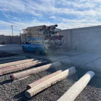 قالیشوی تمام اتوماتیک دلتا|خدمات نظافت|رفسنجان, |دیوار