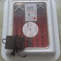 دستگاه جوجه کشی اسکندری