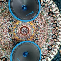 میدرنج سایز 10 اینچ