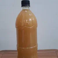 محصولات ارگانیک شمال