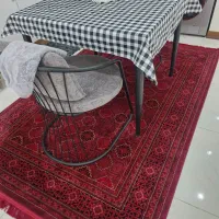 قالی ۴ متری