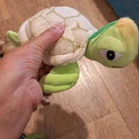 عروسکهای پولیشی|اسباب‌بازی بچه|بابلسر, |دیوار